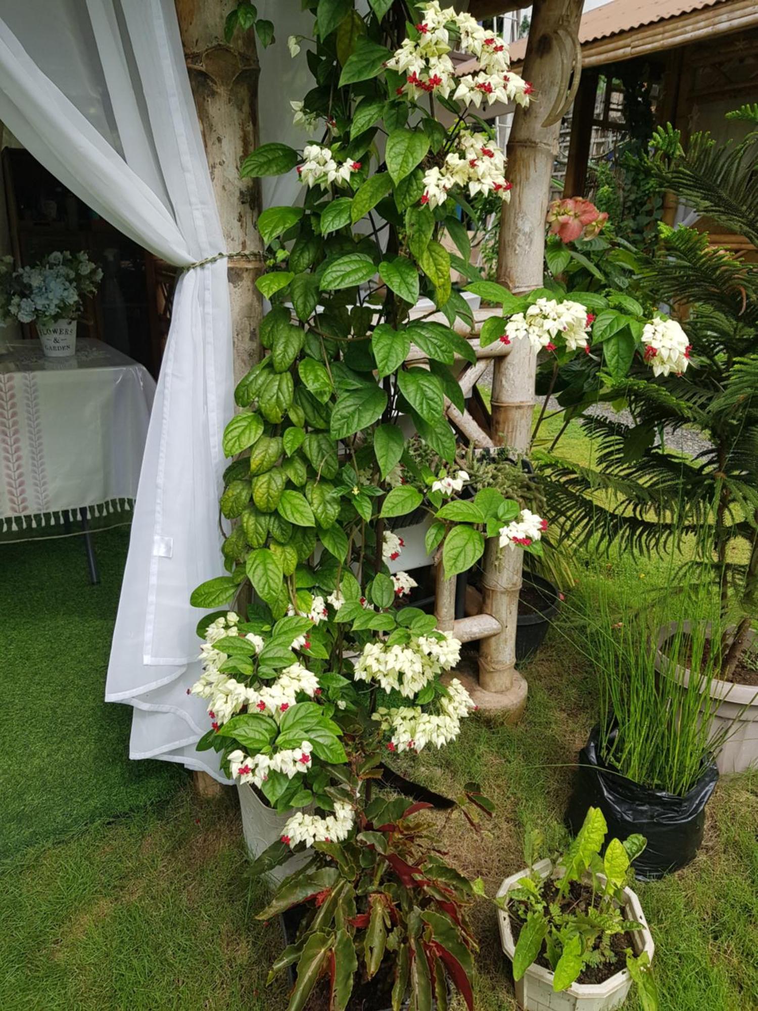 Hidden Haven Coron Apartment Luaran gambar