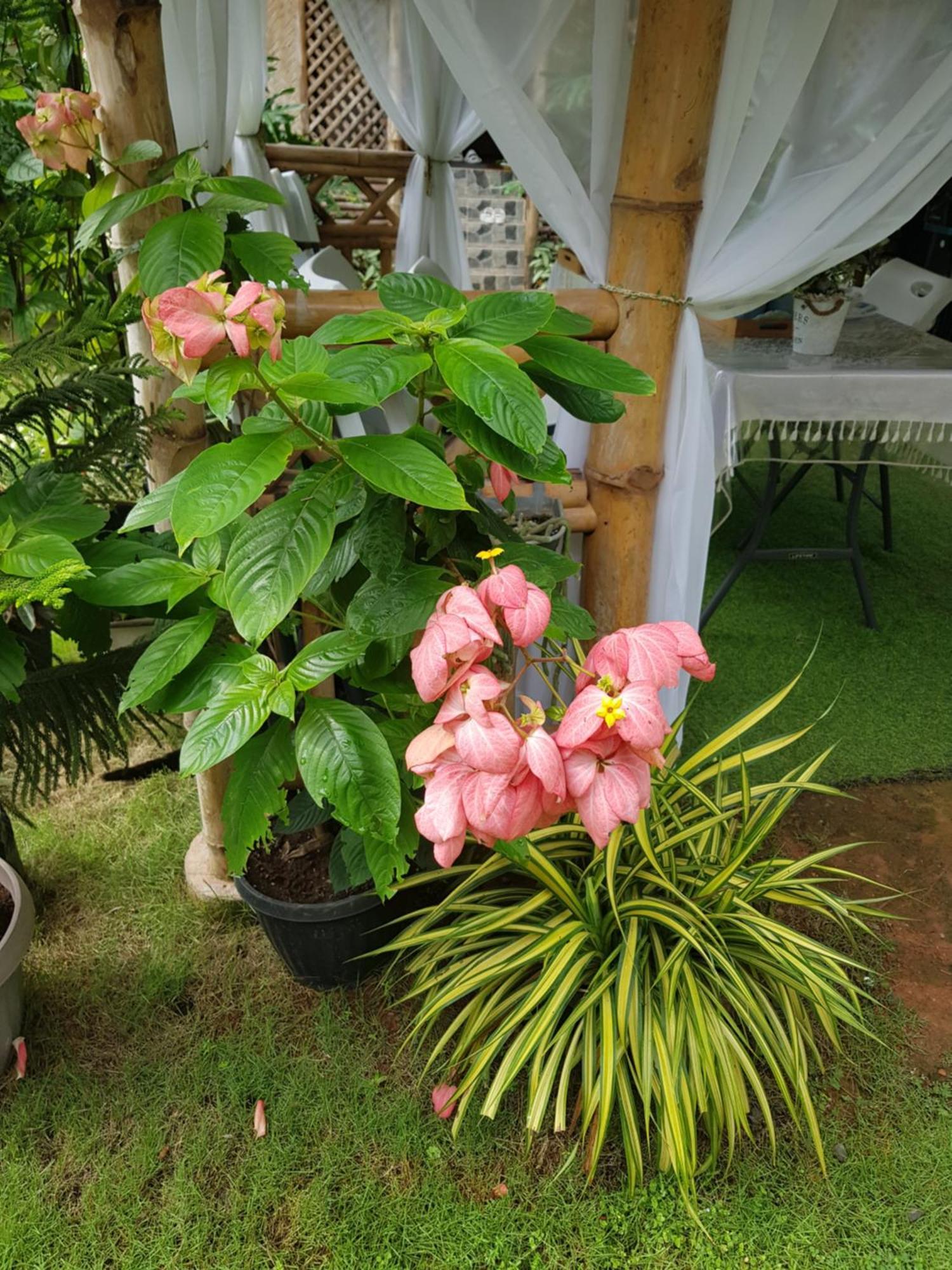 Hidden Haven Coron Apartment Luaran gambar